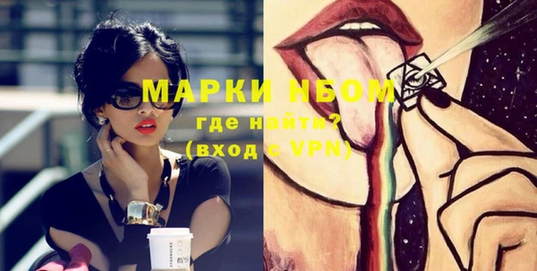 гашик Алексин