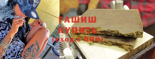 гашик Алексин